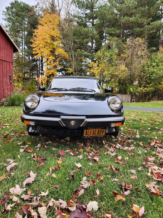 1986 Alfa Romeo Series 3 - Image 15 of 31