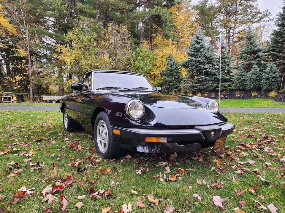 1986 Alfa Romeo Series 3 - Image 16 of 31