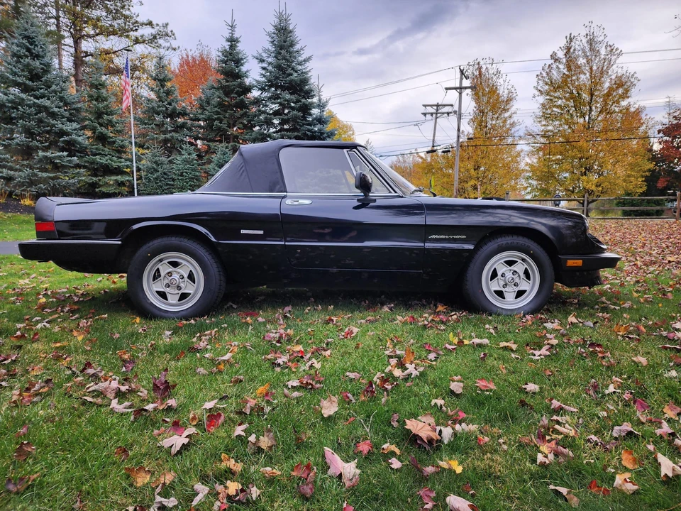 1986 Alfa Romeo Series 3 - Image 19 of 31