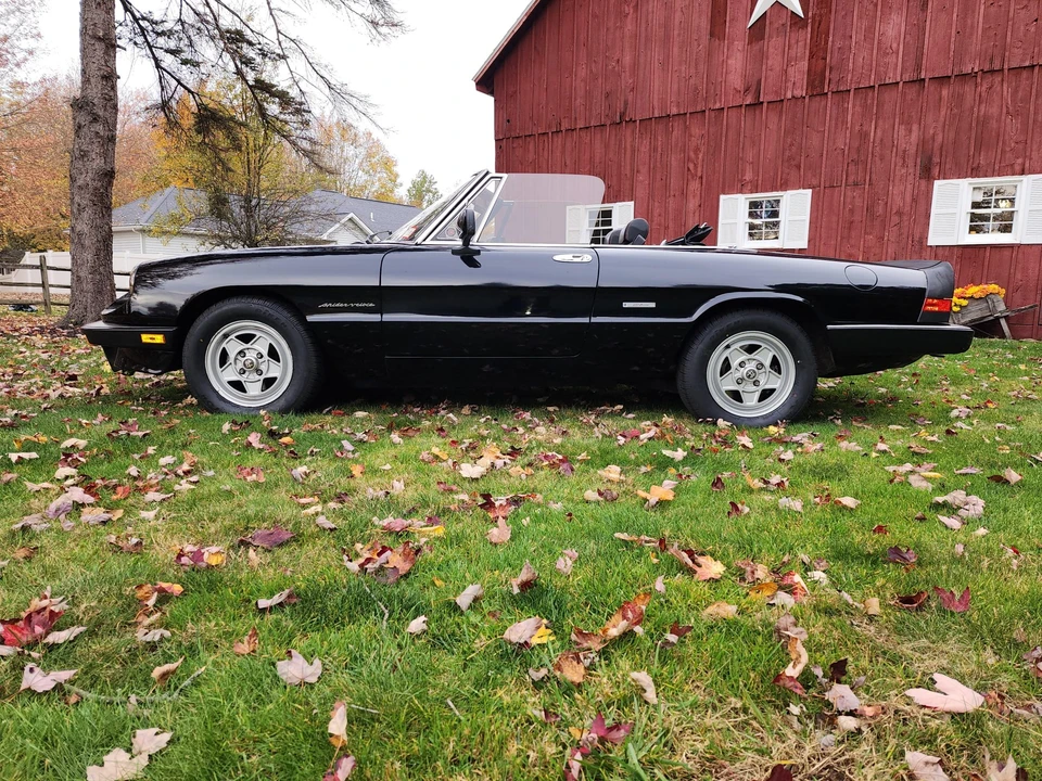 1986 Alfa Romeo Series 3 - Image 10 of 31