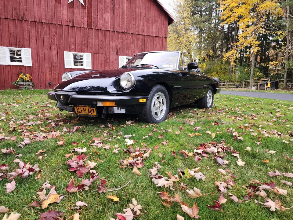 1986 Alfa Romeo Series 3 - Image 2 of 31