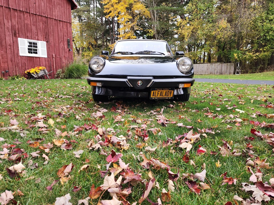 1986 Alfa Romeo Series 3 - Image 3 of 31