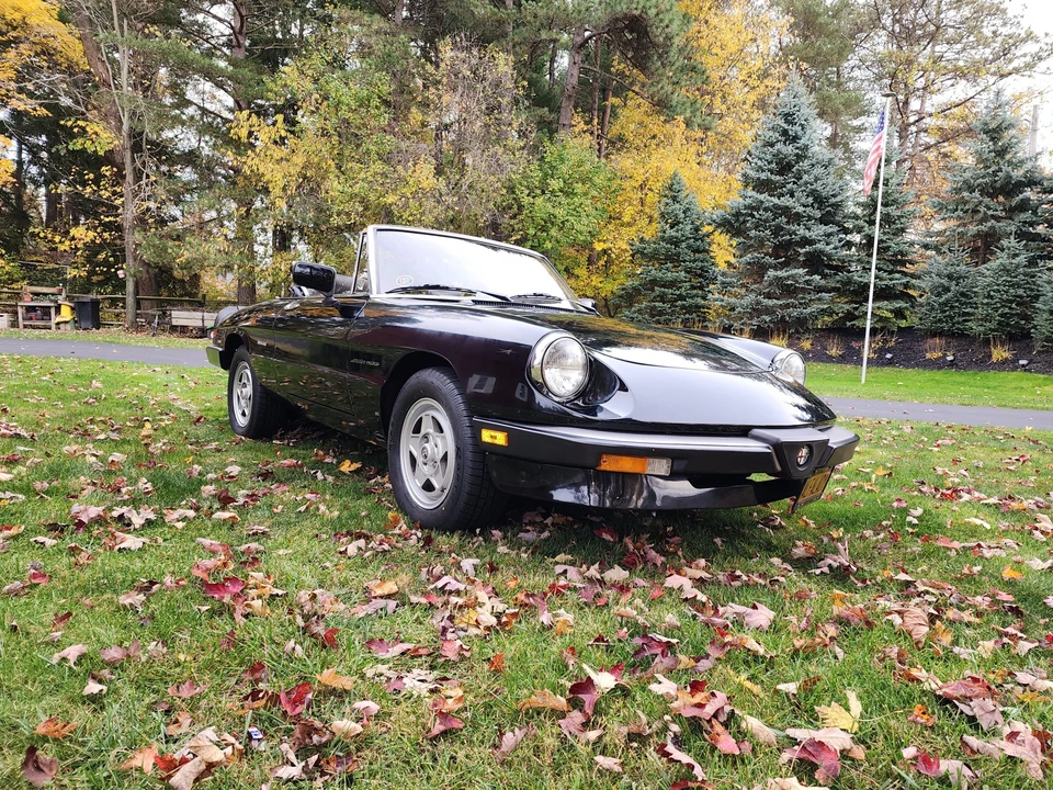 1986 Alfa Romeo Series 3 - Image 5 of 31