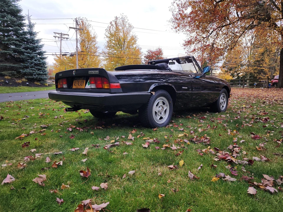 1986 Alfa Romeo Series 3 - Image 7 of 31