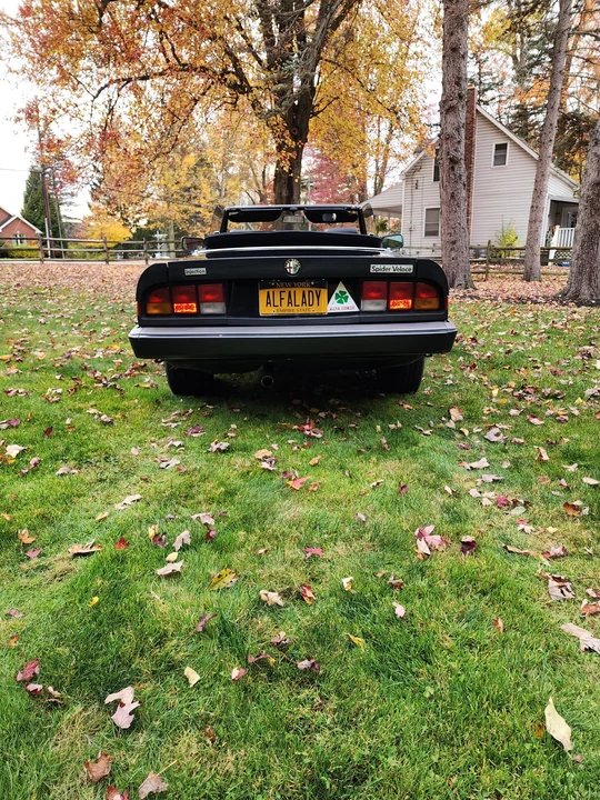 1986 Alfa Romeo Series 3 - Image 8 of 31