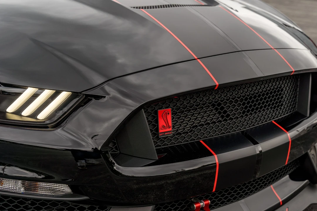 2016 Ford S550 Shelby Mustang GT350R - Image 20 of 31