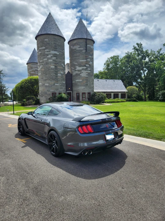 2016 Ford S550 Shelby Mustang GT350R - Image 20 of 31