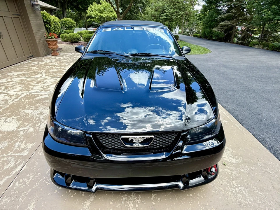 2001 Ford SN95 Mustang - Image 14 of 31