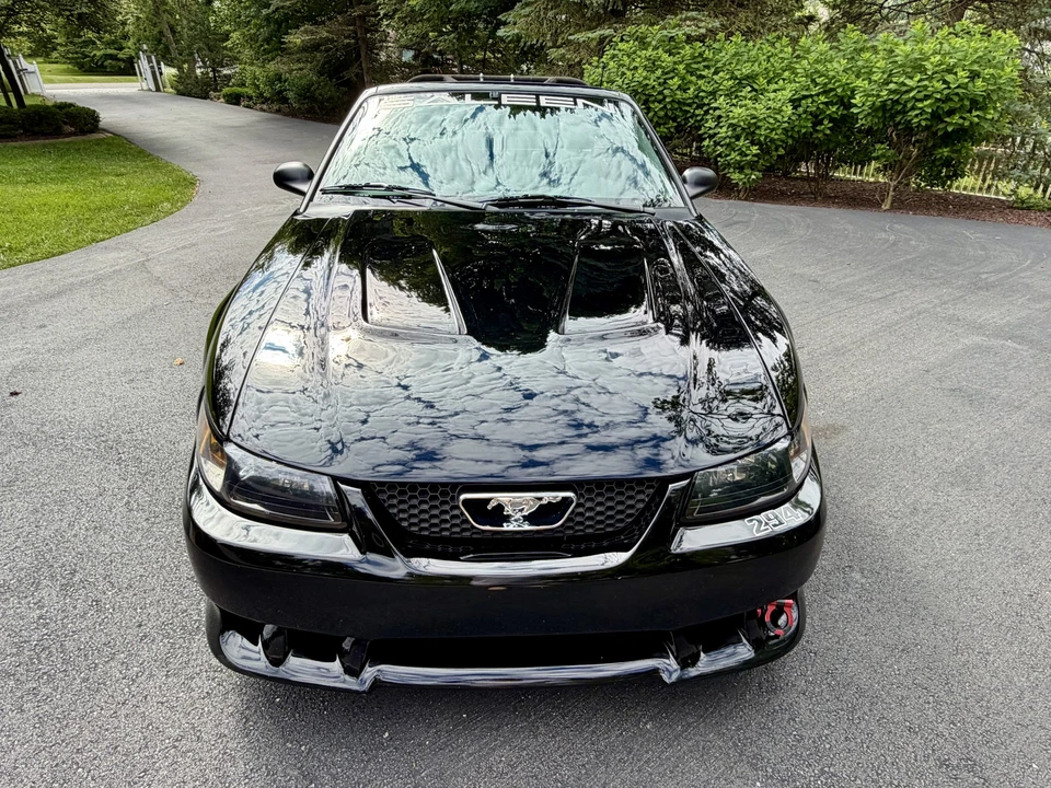 2001 Ford SN95 Mustang - Image 16 of 31
