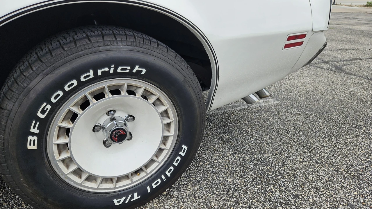 1981 Pontiac Firebird Trans Am 2nd Gen - Image 25 of 31