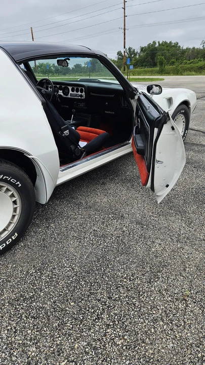 1981 Pontiac Firebird Trans Am 2nd Gen - Image 31 of 31