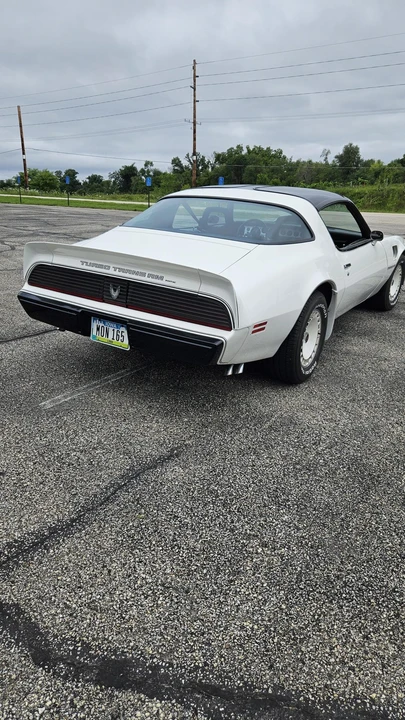 1981 Pontiac Firebird Trans Am 2nd Gen - Image 19 of 31