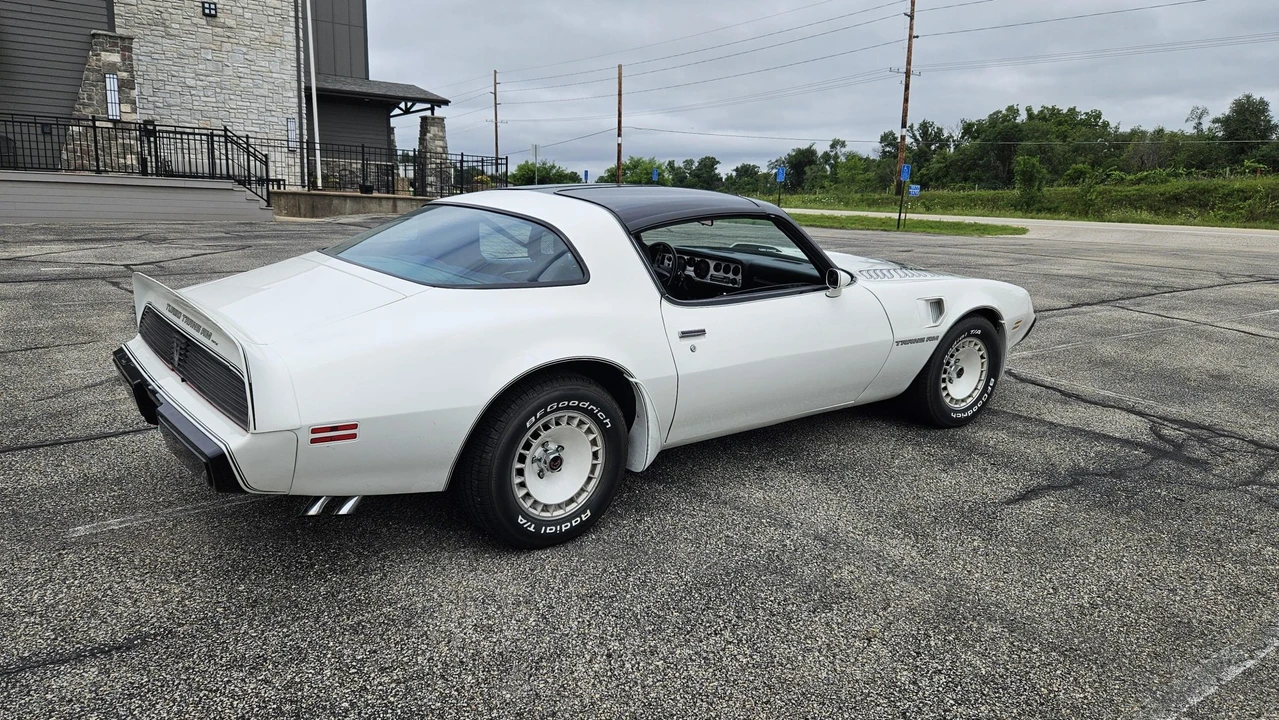 1981 Pontiac Firebird Trans Am 2nd Gen - Image 6 of 31