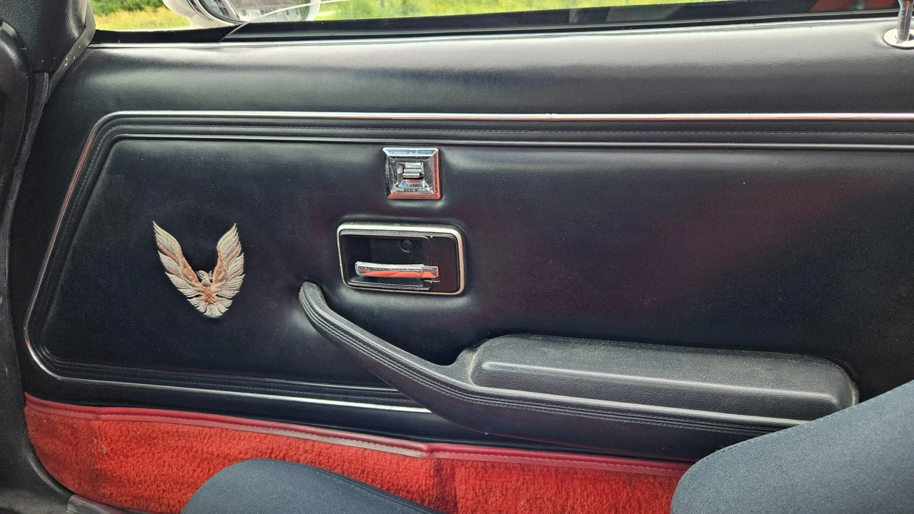 1981 Pontiac Firebird Trans Am 2nd Gen - Image 29 of 31