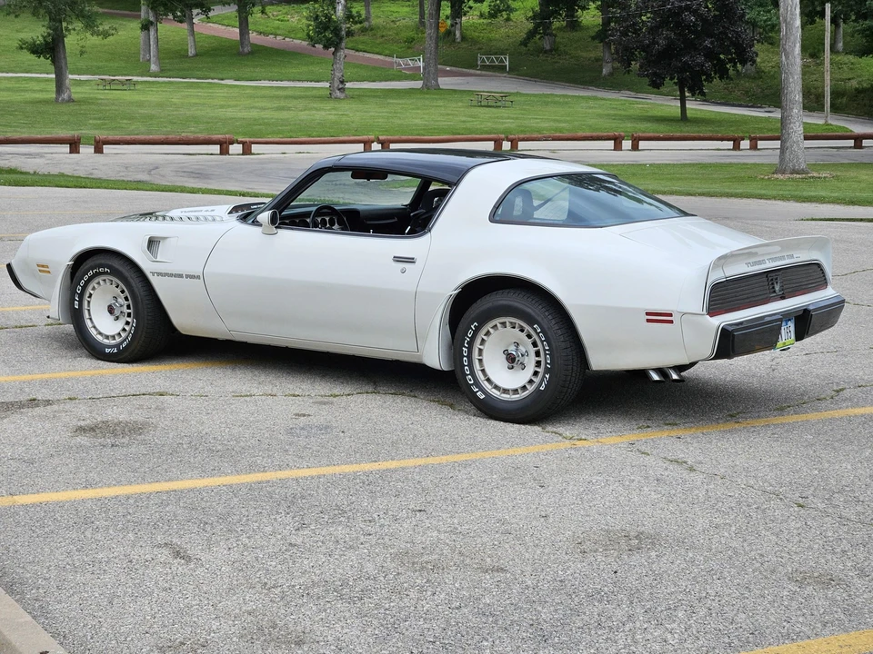1981 Pontiac Firebird Trans Am 2nd Gen - Image 11 of 31