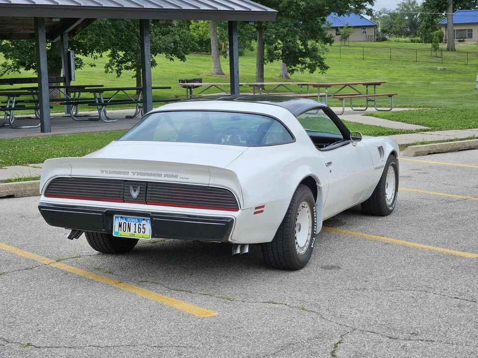 1981 Pontiac Firebird Trans Am 2nd Gen - Image 13 of 31