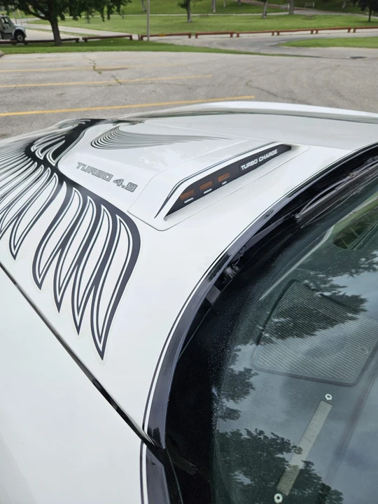 1981 Pontiac Firebird Trans Am 2nd Gen - Image 20 of 31