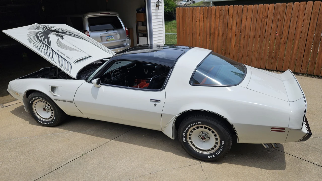 1981 Pontiac Firebird Trans Am 2nd Gen - Image 14 of 31