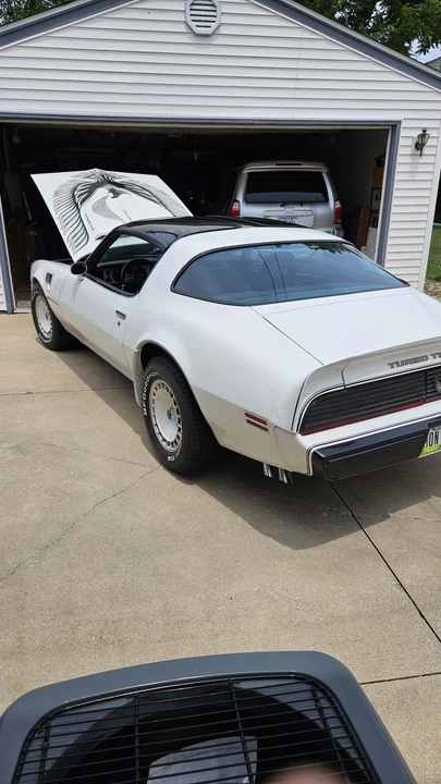 1981 Pontiac Firebird Trans Am 2nd Gen - Image 17 of 31
