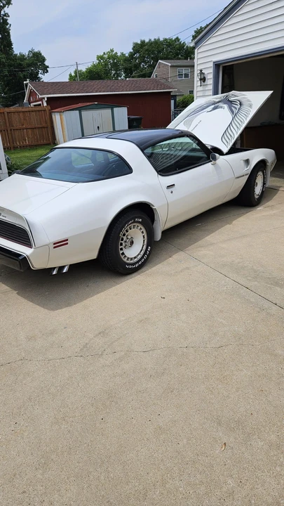1981 Pontiac Firebird Trans Am 2nd Gen - Image 15 of 31