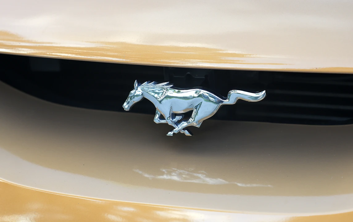 1997 Ford SN95 Mustang - Image 27 of 31