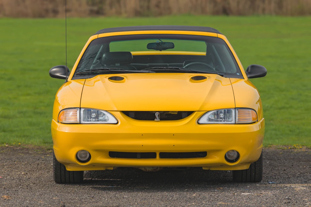 1998 Ford SN95 Mustang Cobra - Image 8 of 31