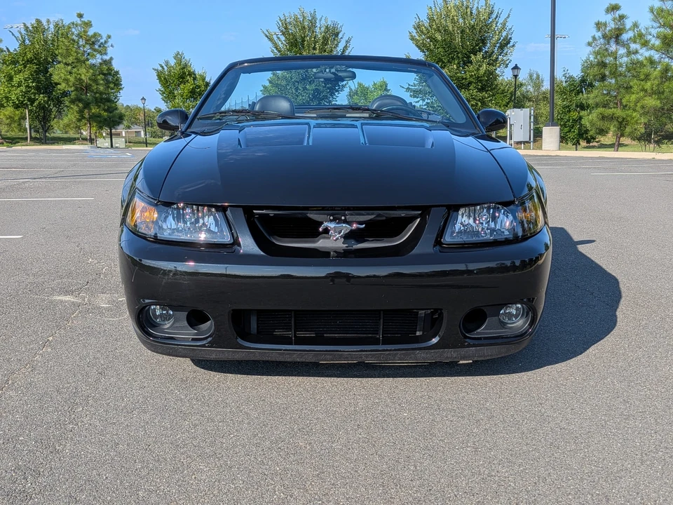 2003 Ford SN95 Mustang Cobra - Image 7 of 31