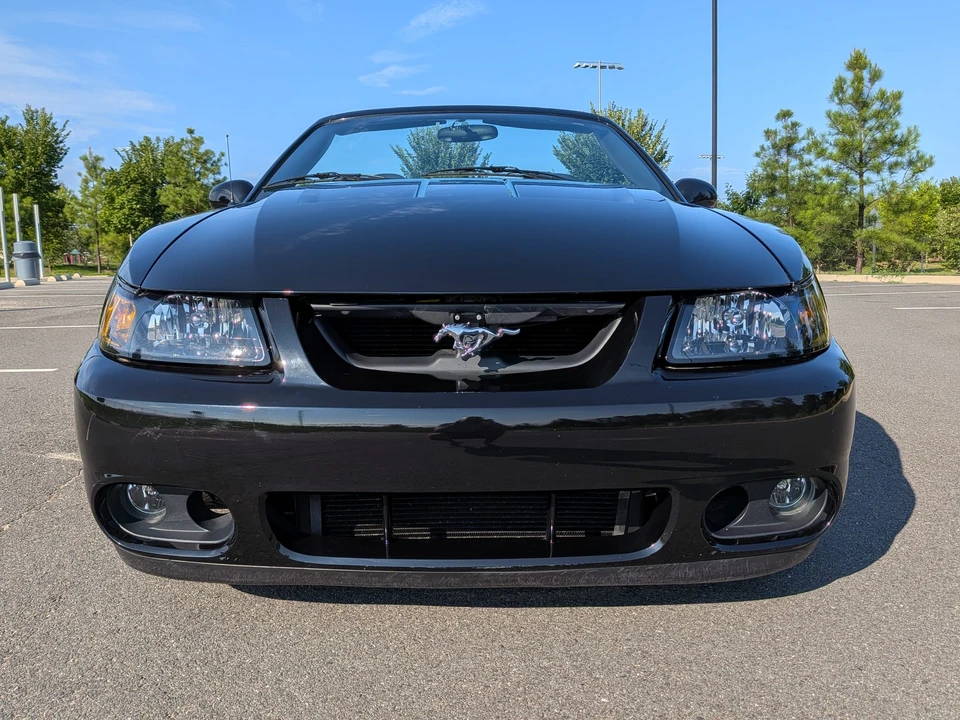 2003 Ford SN95 Mustang Cobra - Image 8 of 31