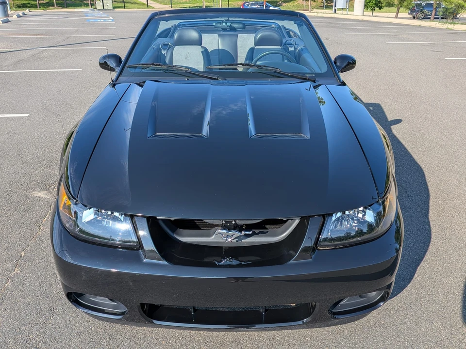 2003 Ford SN95 Mustang Cobra - Image 6 of 31