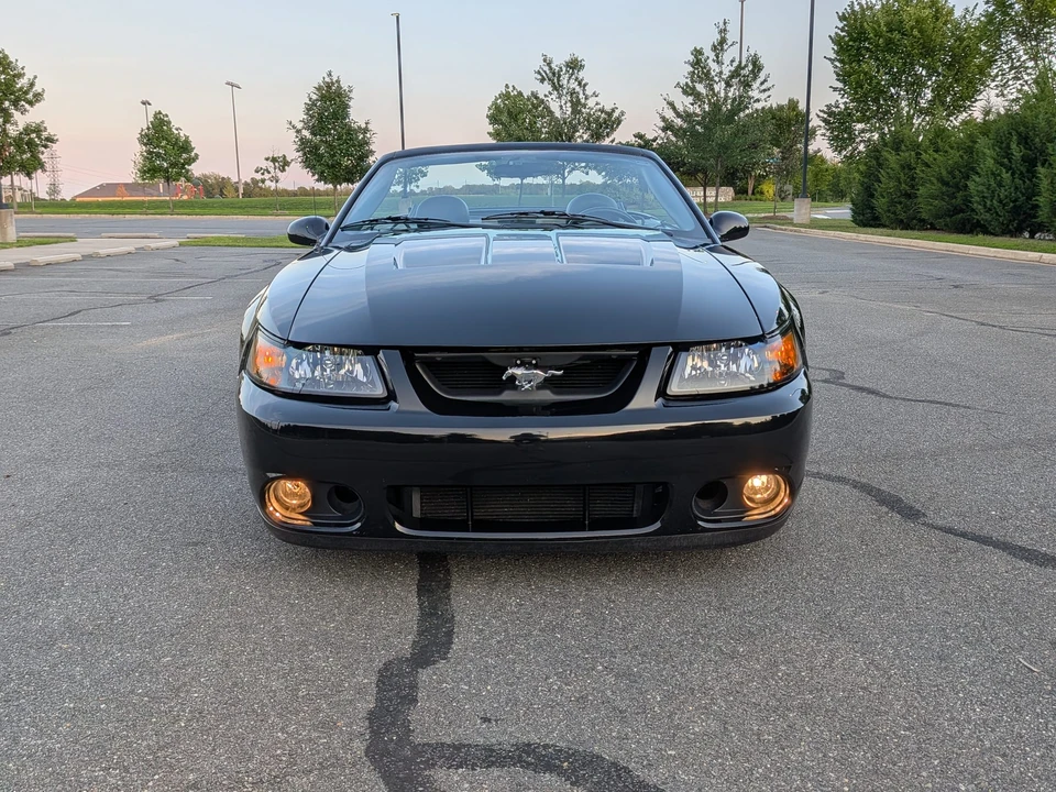 2003 Ford SN95 Mustang Cobra - Image 9 of 31