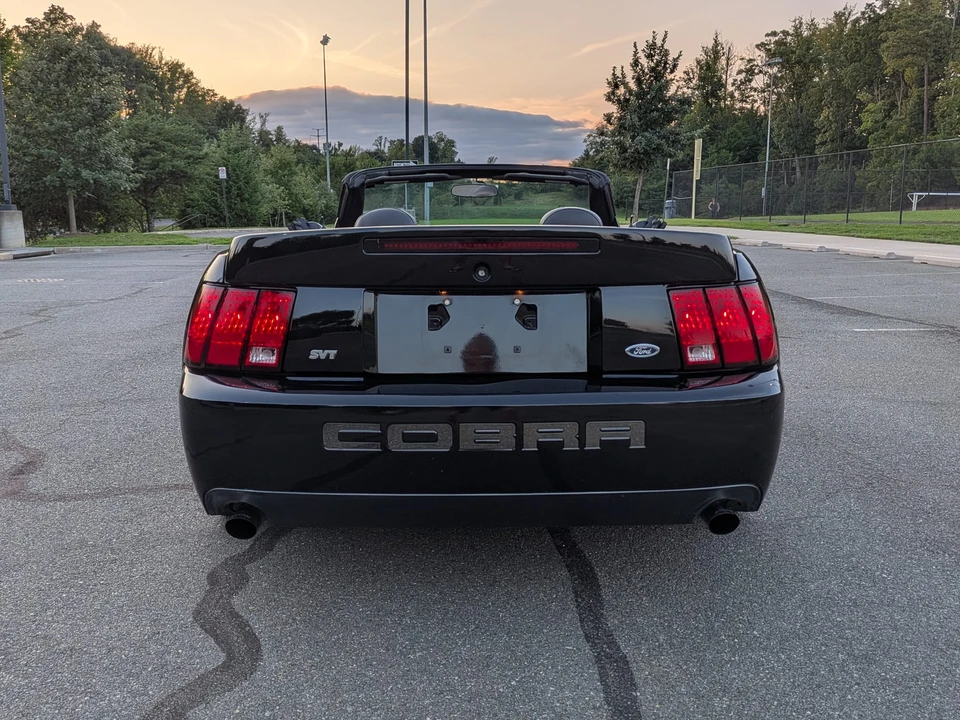 2003 Ford SN95 Mustang Cobra - Image 23 of 31