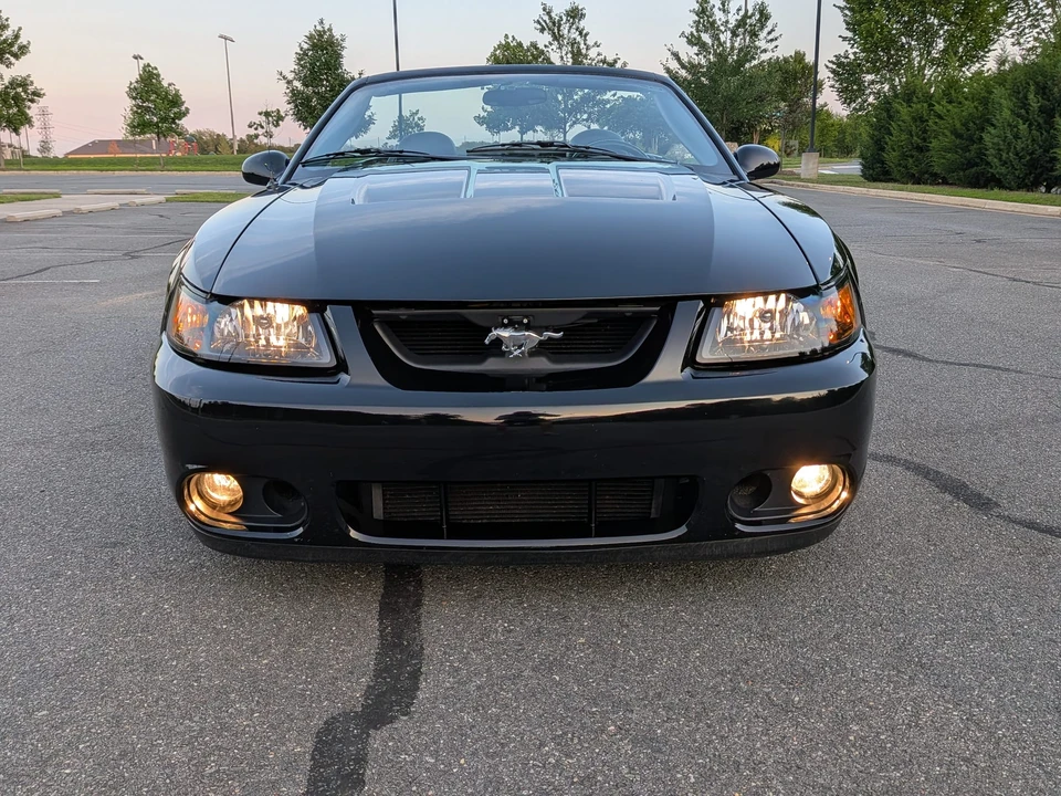 2003 Ford SN95 Mustang Cobra - Image 10 of 31