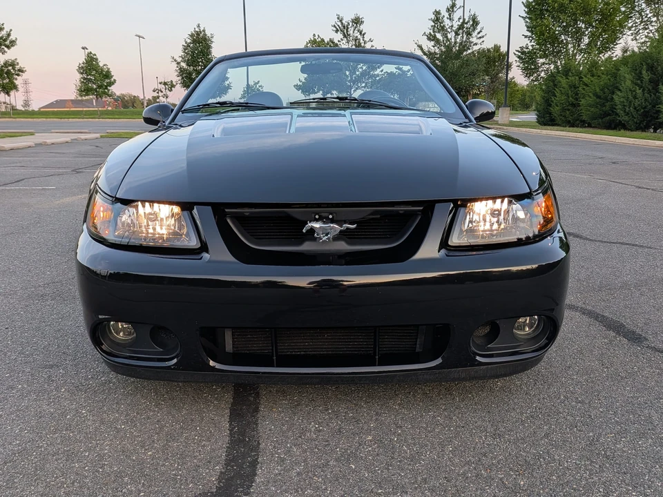 2003 Ford SN95 Mustang Cobra - Image 11 of 31