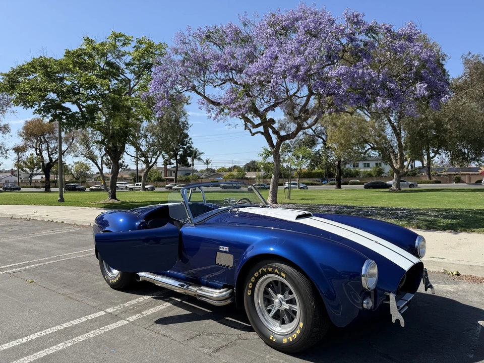 Shelby - Image 9 of 31