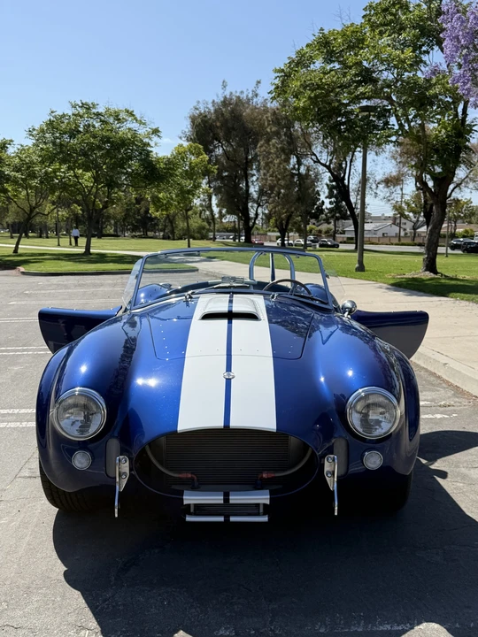 Shelby - Image 13 of 31