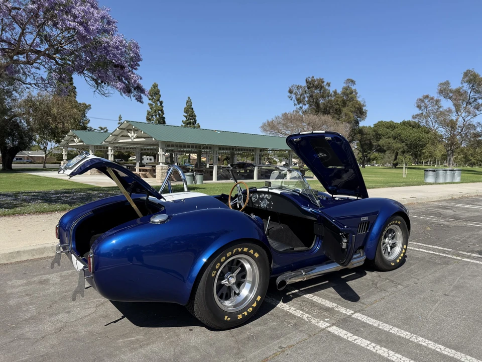 Shelby - Image 6 of 31
