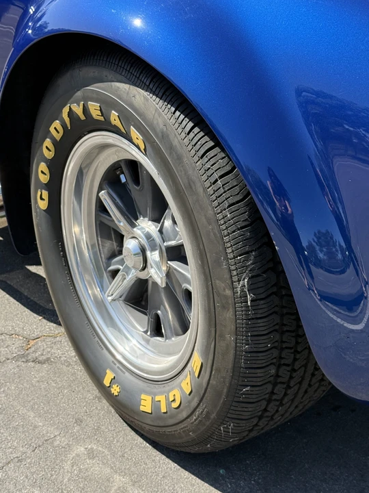 Shelby - Image 21 of 31