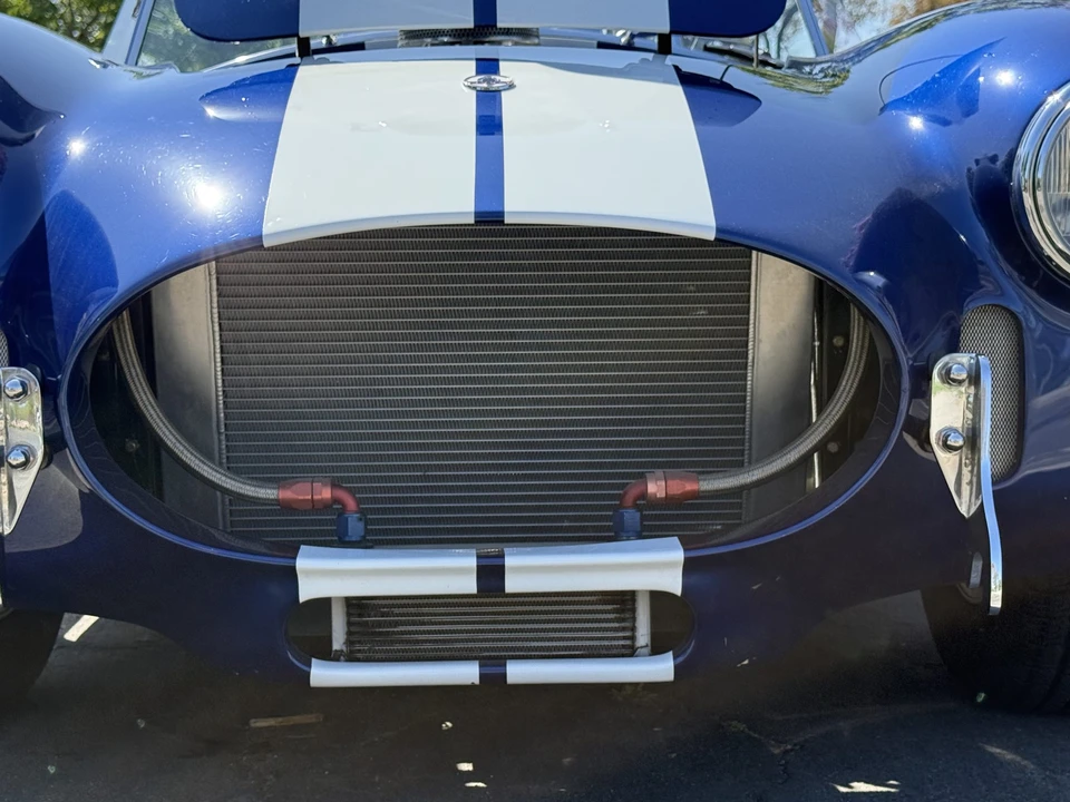 Shelby - Image 14 of 31
