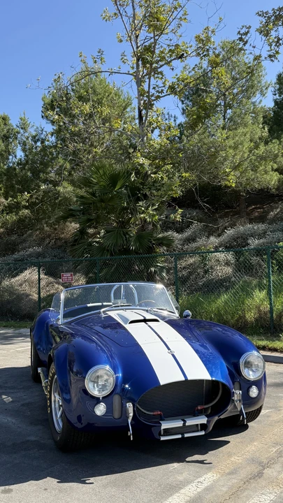 Shelby - Image 12 of 31