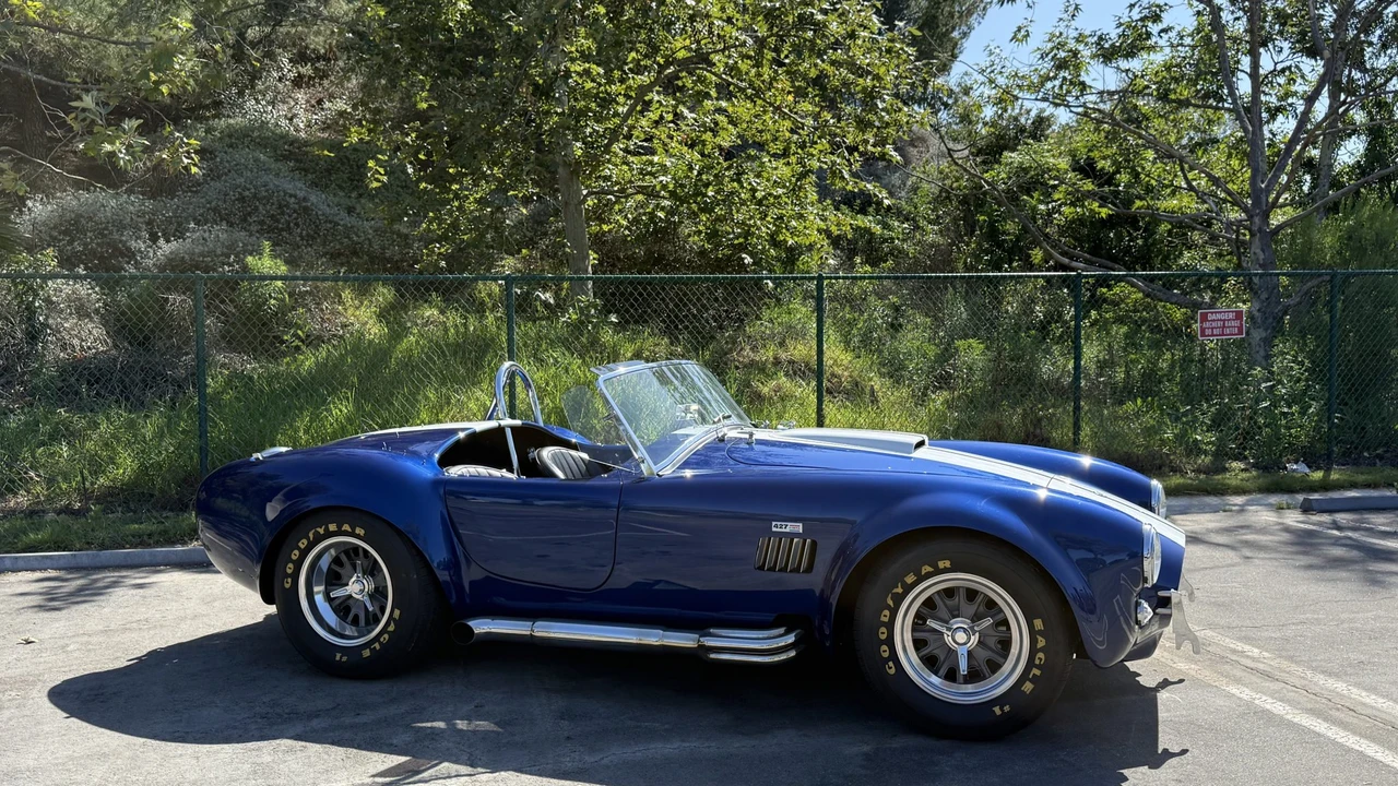 Shelby - Image 8 of 31