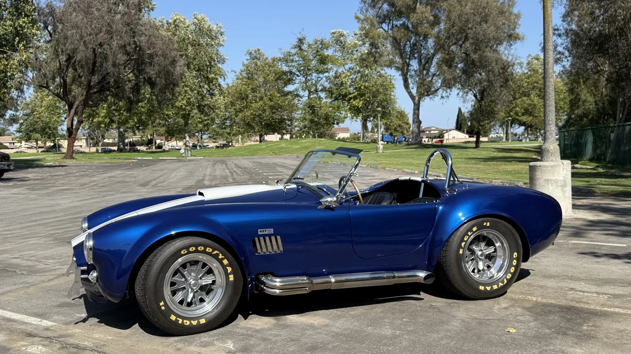Shelby - Image 3 of 31