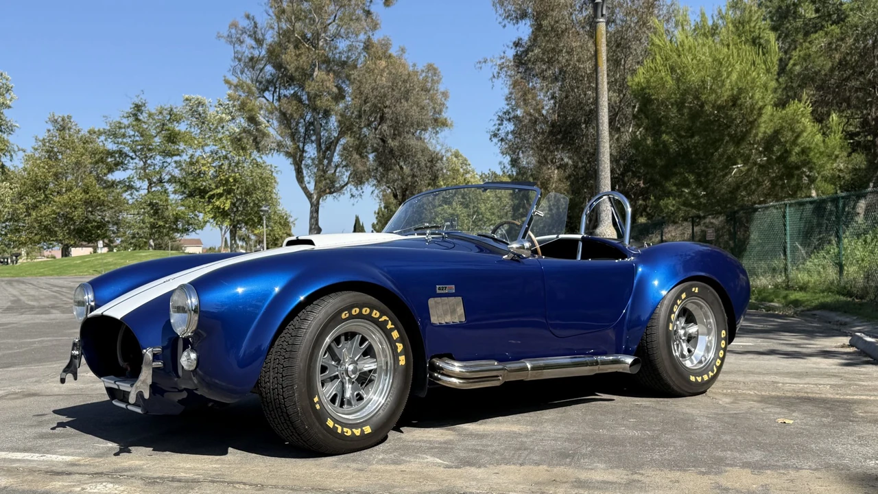 Shelby - Image 2 of 31