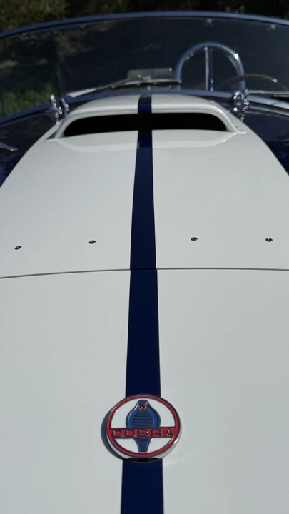 Shelby - Image 16 of 31