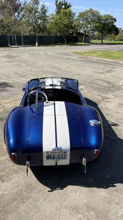 Shelby - Image 20 of 31