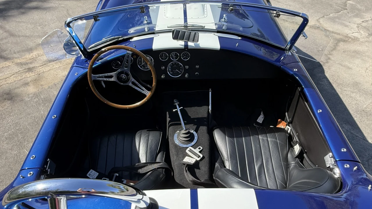 Shelby - Image 23 of 31