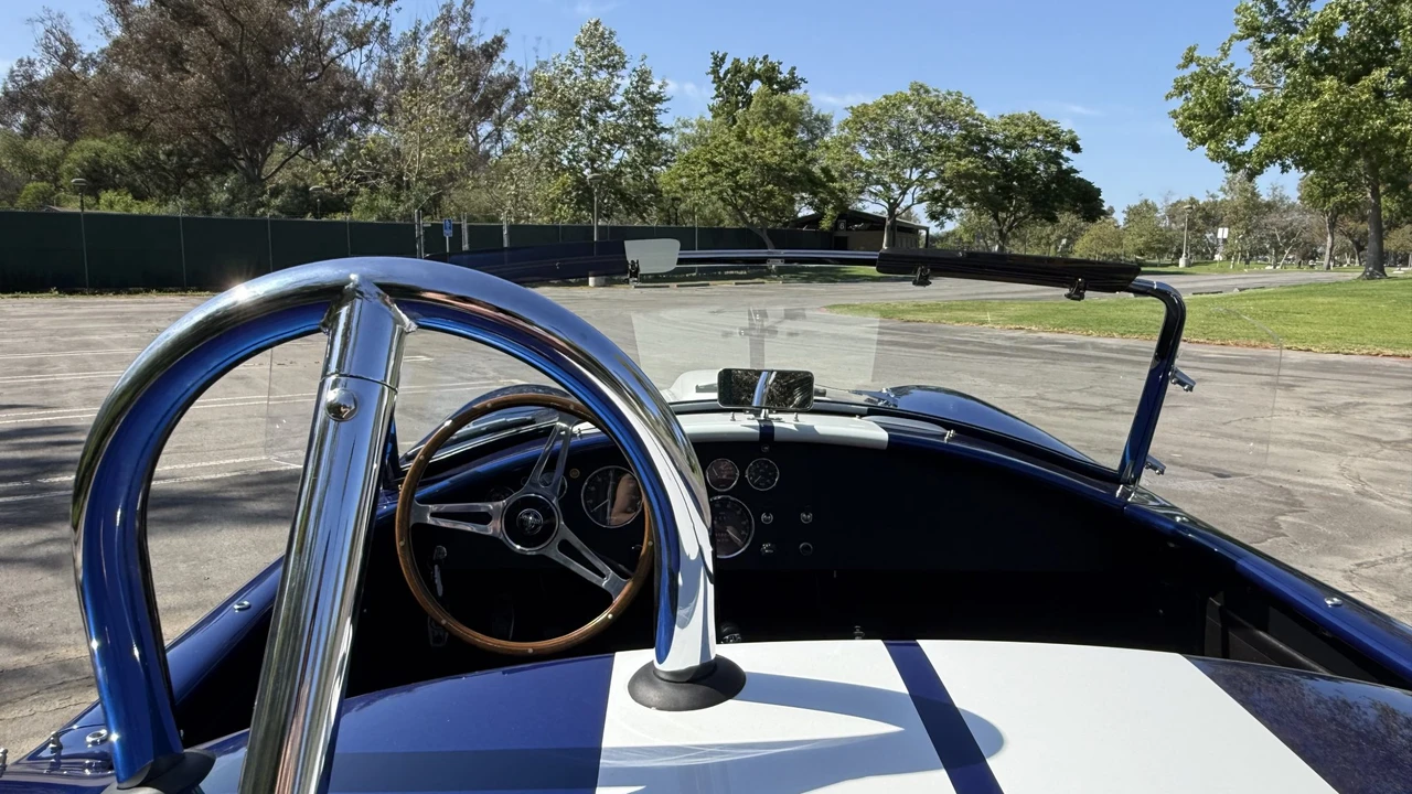 Shelby - Image 30 of 31