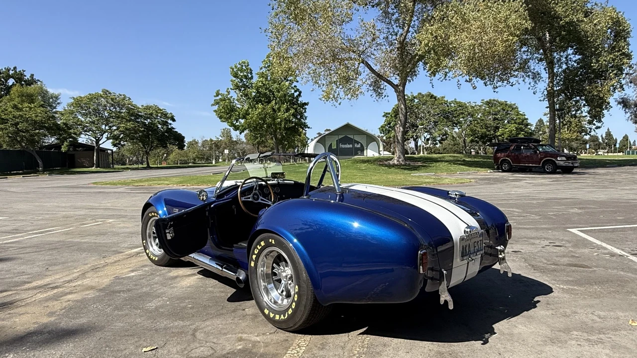 Shelby - Image 5 of 31