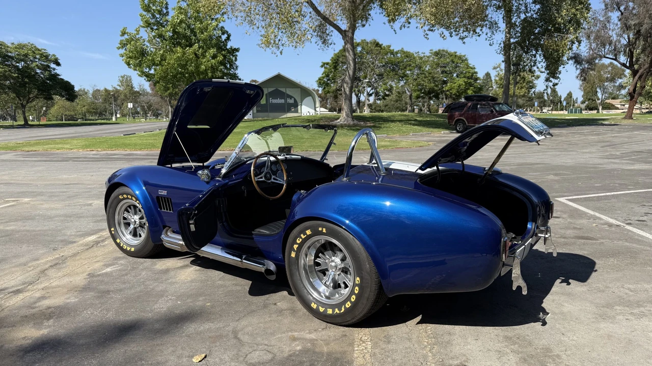 Shelby - Image 4 of 31