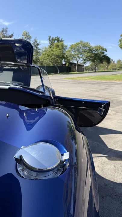 Shelby - Image 17 of 31