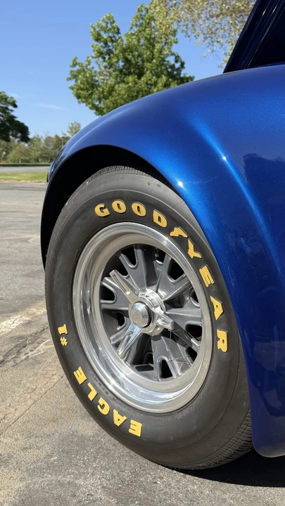 Shelby - Image 22 of 31